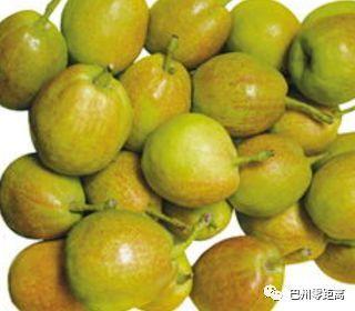 巴州特色農(nóng)產(chǎn)品依托航空實(shí)現(xiàn)銷售突破