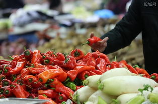 農(nóng)業(yè)農(nóng)村部辦公廳 確保貧困地區(qū)農(nóng)產(chǎn)品運(yùn)輸暢通