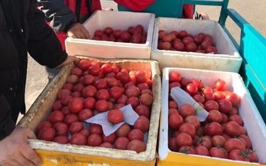 媒體農(nóng)大 菜籃子米袋子肉盤子 穩(wěn)產(chǎn)保供背后有只“看得見的手”