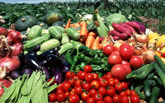 群英薈萃農(nóng)產(chǎn)品營銷策劃 農(nóng)產(chǎn)品這么做,讓你事半功倍