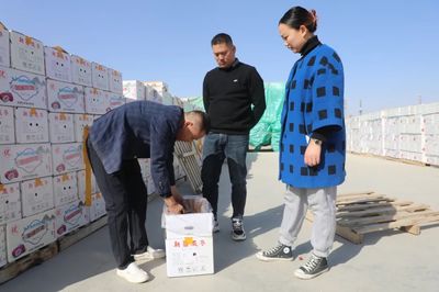 林果“網(wǎng)上”賣(mài) 蹚出新天地