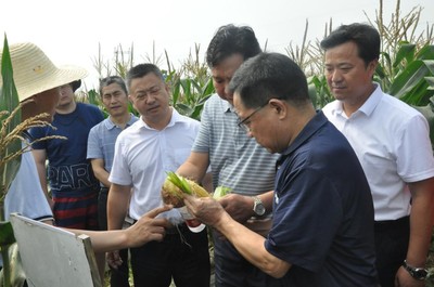 2021武漢種業(yè)博覽會(huì)·鮮食玉米產(chǎn)業(yè)大會(huì)在省現(xiàn)代農(nóng)業(yè)展示中心成功舉辦