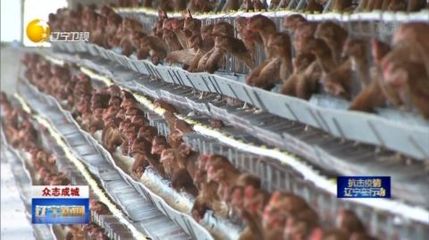 遼寧“米袋子”“菜籃子”等重要農(nóng)產(chǎn)品供應(yīng)充足