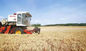 如果農(nóng)村沒有人種地了,最先扛不住的是農(nóng)民