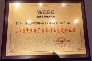 喜訊 中創(chuàng)物聯(lián)網(wǎng)榮獲2018年世界電商大會 電子商務(wù)行業(yè)先進企業(yè)獎