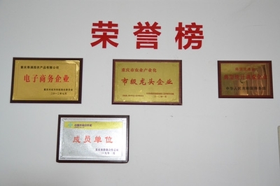 重慶香滿園網(wǎng)上平臺新版上市:讓農(nóng)產(chǎn)品觸電采購